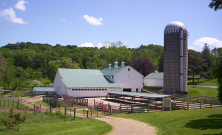 Dairy Barn Grooving